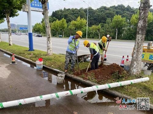 景德镇市政公用集团西河路人行道改造工程完工 图